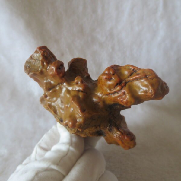 natural banded gobi agate raw desert mudstone home decor. (j15) (copy)