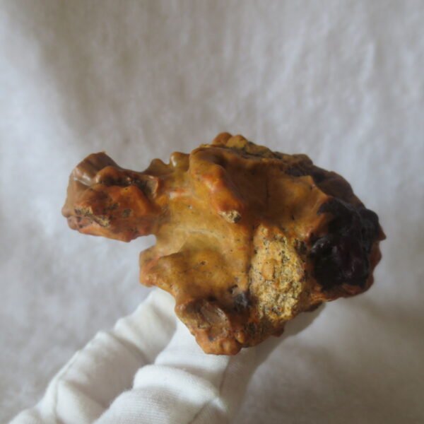 natural banded gobi agate raw desert mudstone home decor. (j15) (copy)