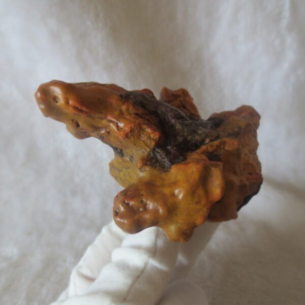 natural banded gobi agate raw desert mudstone home decor. (j15) (copy)