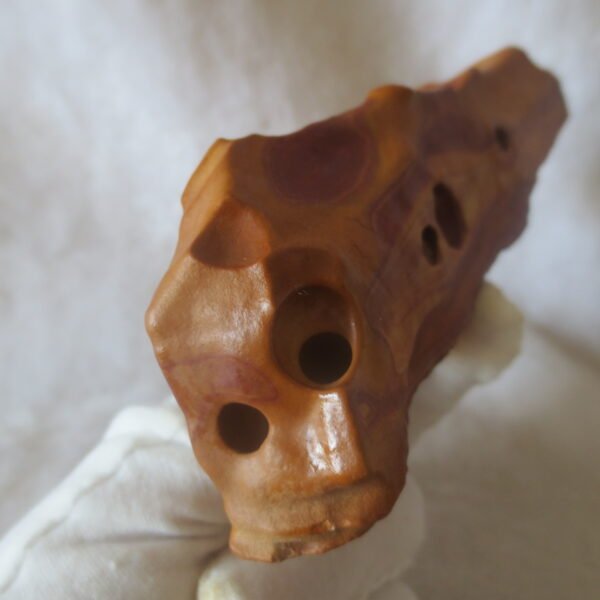 natural banded gobi agate raw desert mudstone home decor. (j18)