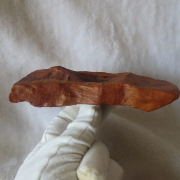 natural banded gobi agate raw desert mudstone home decor. (j19)