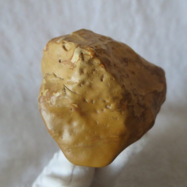 natural banded gobi agate raw desert mudstone home decor. (j20)