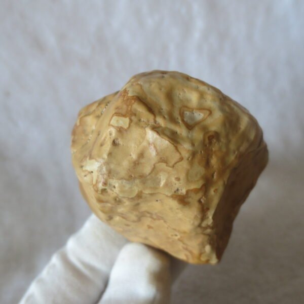 natural banded gobi agate raw desert mudstone home decor. (j20)