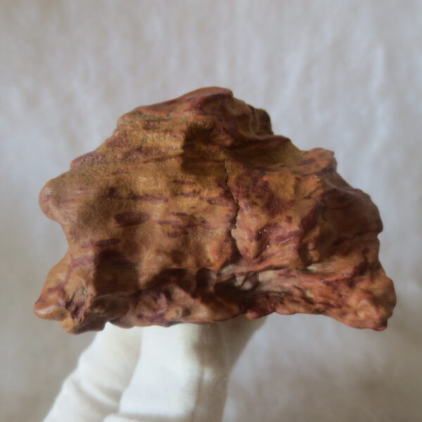 natural banded gobi agate raw desert mudstone home decor. (j21)