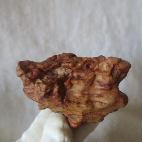 natural banded gobi agate raw desert mudstone home decor. (j21)