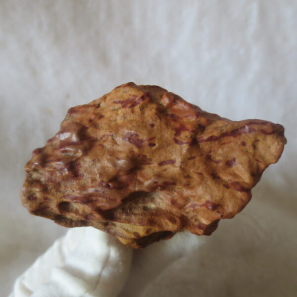 natural banded gobi agate raw desert mudstone home decor. (j21)