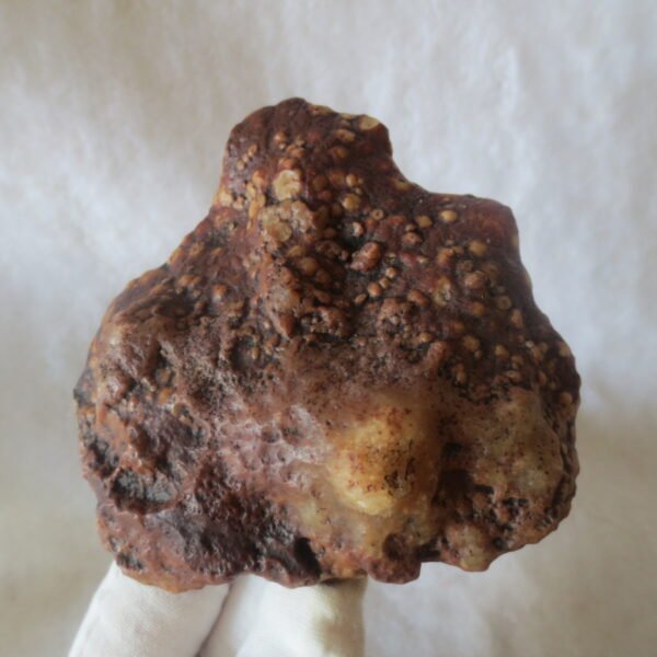 natural banded gobi agate raw desert mudstone home decor. (j22)