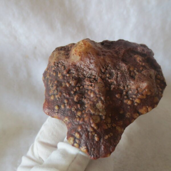 natural banded gobi agate raw desert mudstone home decor. (j22)