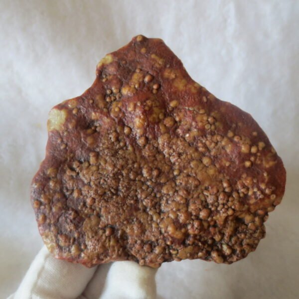 natural banded gobi agate raw desert mudstone home decor. (j22)