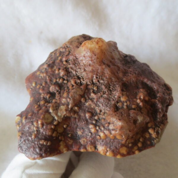 natural banded gobi agate raw desert mudstone home decor. (j22)
