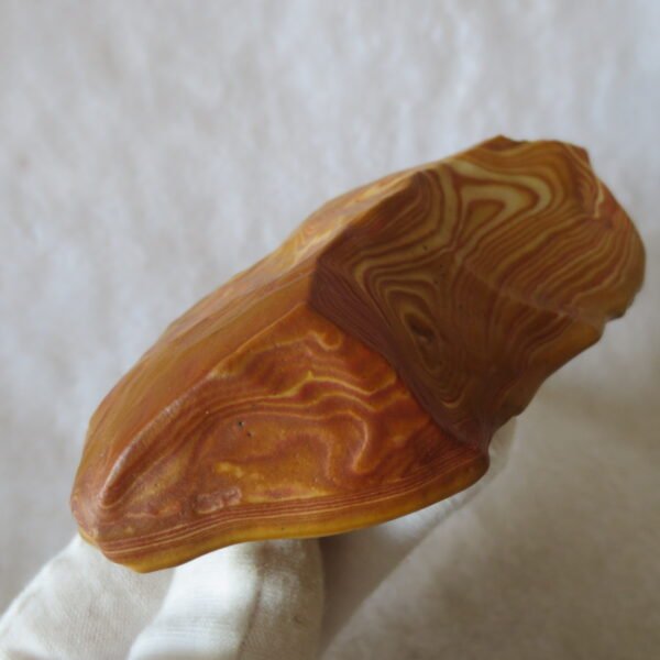 natural banded gobi agate raw desert mudstone mineral (j24)