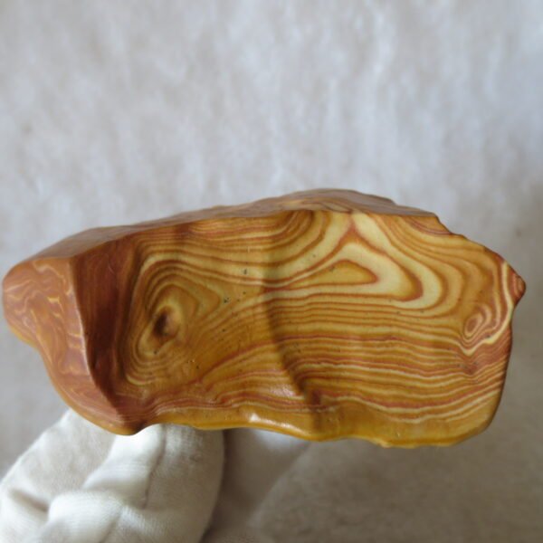 natural banded gobi agate raw desert mudstone mineral (j24)