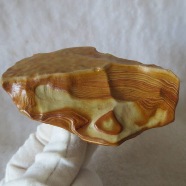 natural banded gobi agate raw desert mudstone mineral (j24)