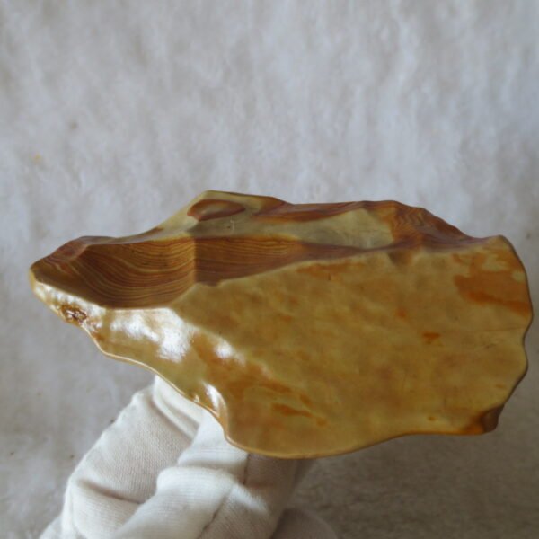 natural banded gobi agate raw desert mudstone mineral (j24)