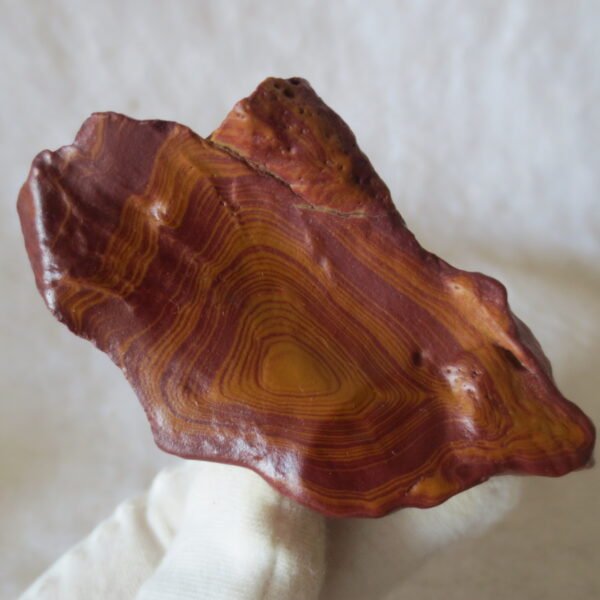natural banded gobi agate raw desert mudstone mineral (j24) (copy)