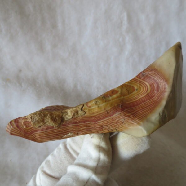 natural banded gobi agate raw desert mudstone mineral (j25)