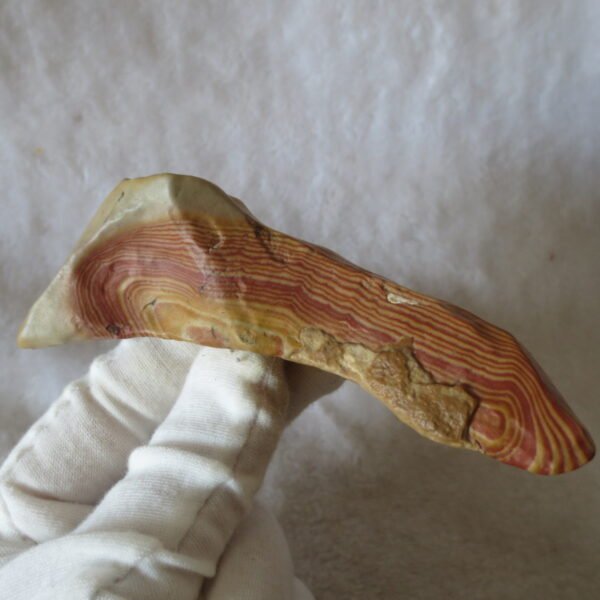 natural banded gobi agate raw desert mudstone mineral (j25)