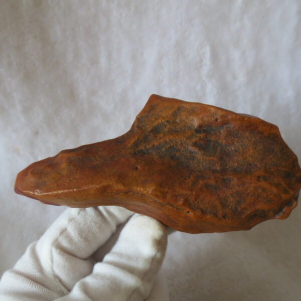 natural banded gobi agate raw desert mudstone mineral (j27)