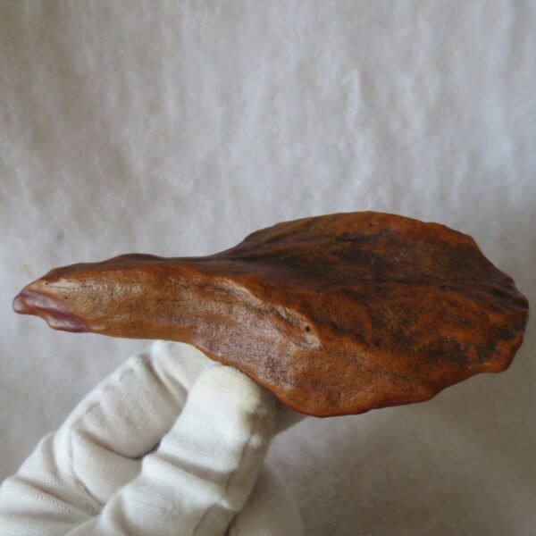 natural banded gobi agate raw desert mudstone mineral (j27)