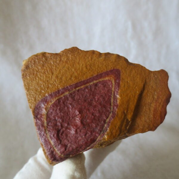 natural banded gobi agate raw desert mudstone home decor. (j28)