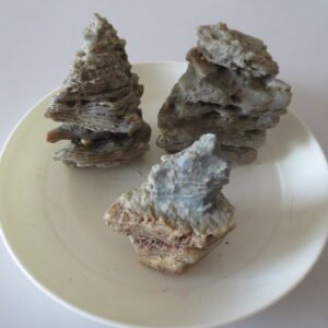 gobi desert raw rough stones natural gemstone specimen for collectors (p38)