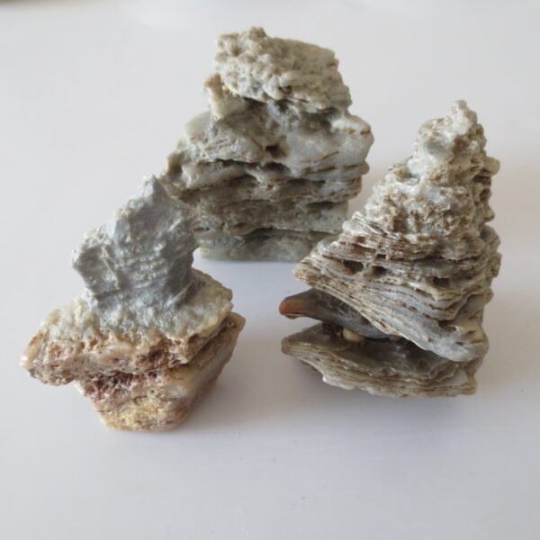 gobi desert raw rough stones natural gemstone specimen for collectors (p38)