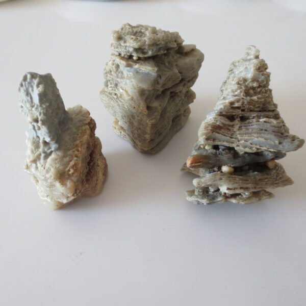 gobi desert raw rough stones natural gemstone specimen for collectors (p38)