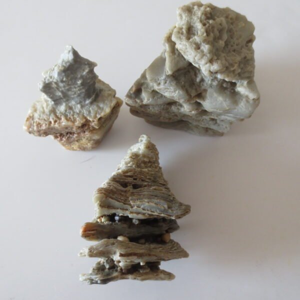 gobi desert raw rough stones natural gemstone specimen for collectors (p38)