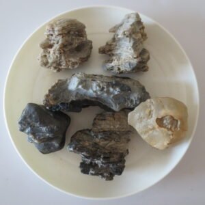 gobi desert raw rough stones natural gemstone specimen for collectors (p39)