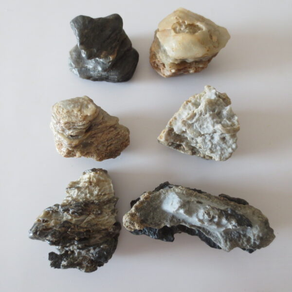 gobi desert raw rough stones natural gemstone specimen for collectors (p39)