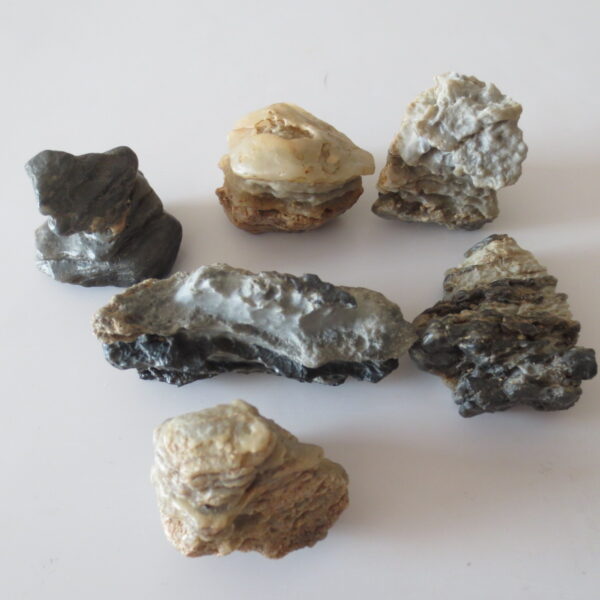 gobi desert raw rough stones natural gemstone specimen for collectors (p39)