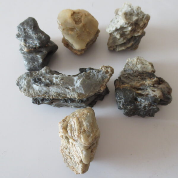 gobi desert raw rough stones natural gemstone specimen for collectors (p39)