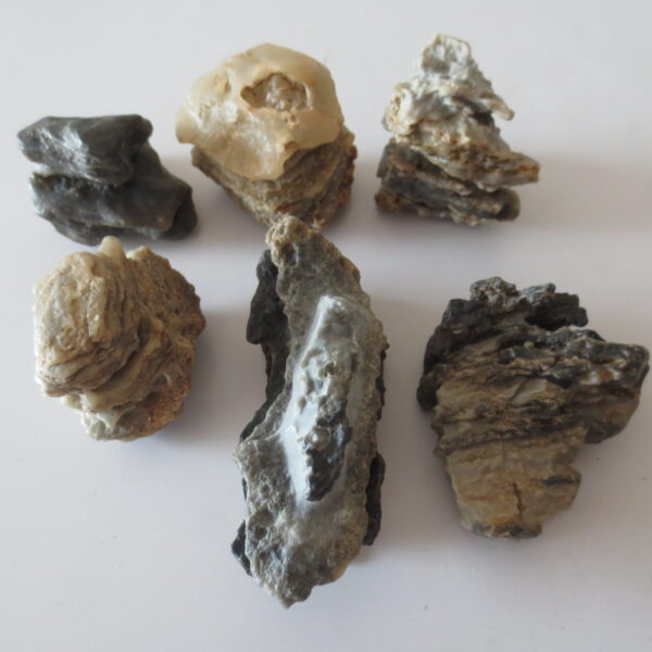 gobi desert raw rough stones natural gemstone specimen for collectors (p39)
