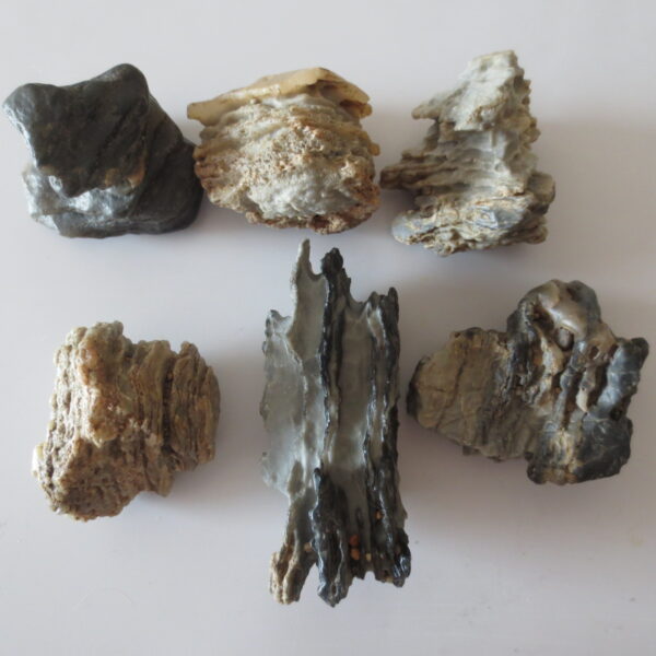 gobi desert raw rough stones natural gemstone specimen for collectors (p39)
