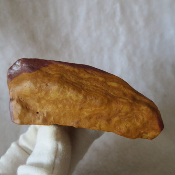 natural banded gobi agate raw desert mudstone mineral (j29)