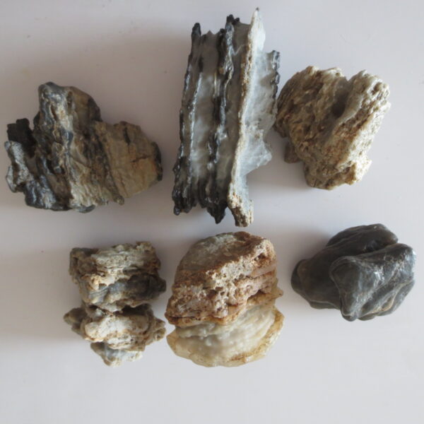 gobi desert raw rough stones natural gemstone specimen for collectors (p39)