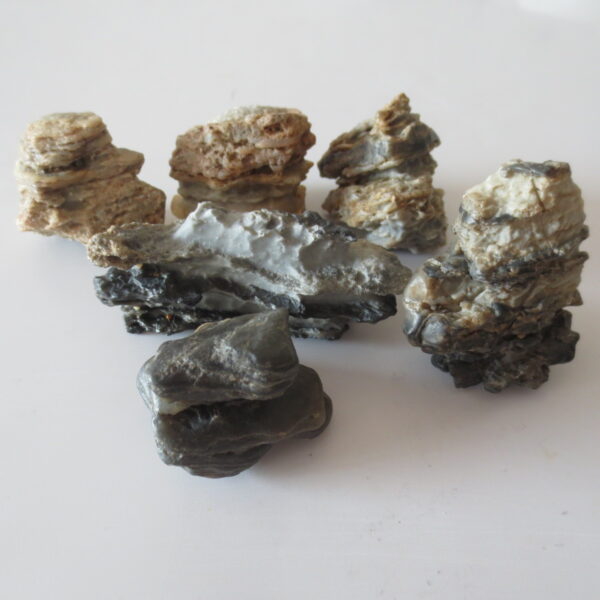 gobi desert raw rough stones natural gemstone specimen for collectors (p39)