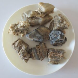 gobi desert raw rough stones natural gemstone specimen for collectors (p40)