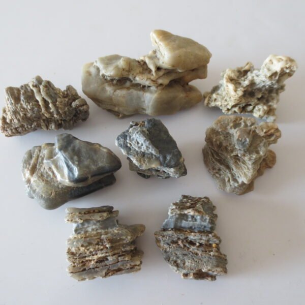 gobi desert raw rough stones natural gemstone specimen for collectors (p40)