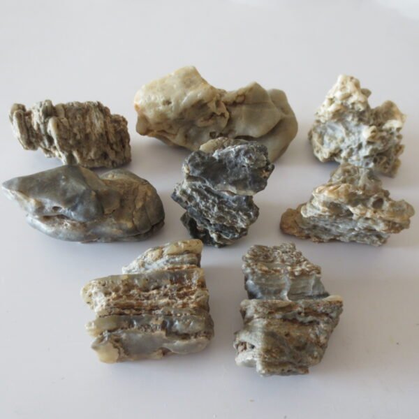 gobi desert raw rough stones natural gemstone specimen for collectors (p40)