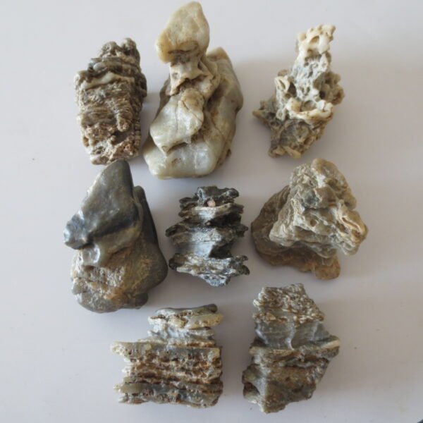 gobi desert raw rough stones natural gemstone specimen for collectors (p40)