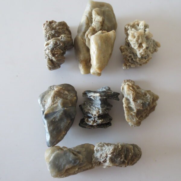 gobi desert raw rough stones natural gemstone specimen for collectors (p40)