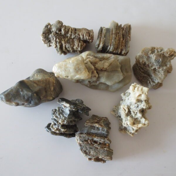 gobi desert raw rough stones natural gemstone specimen for collectors (p40)