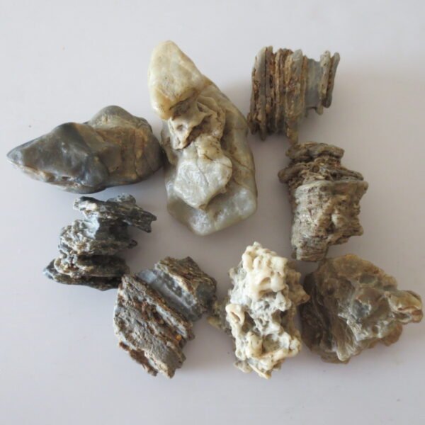 gobi desert raw rough stones natural gemstone specimen for collectors (p40)