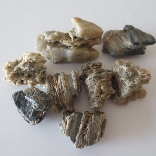 gobi desert raw rough stones natural gemstone specimen for collectors (p40)