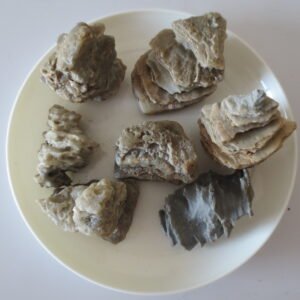 gobi desert raw rough stones natural gemstone specimen for collectors (p41)