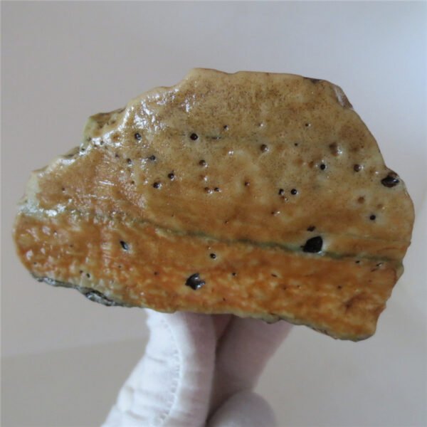 natural quartz flower gobi stone raw desert rock home decor. (g25) (copy)