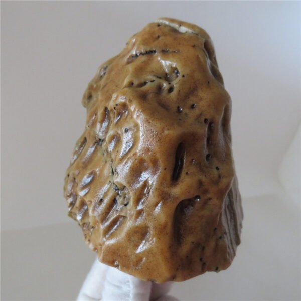 natural quartz flower gobi stone raw desert rock home decor. (g25) (copy)