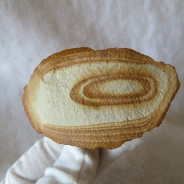 natural banded gobi agate raw desert mudstone mineral (j32)