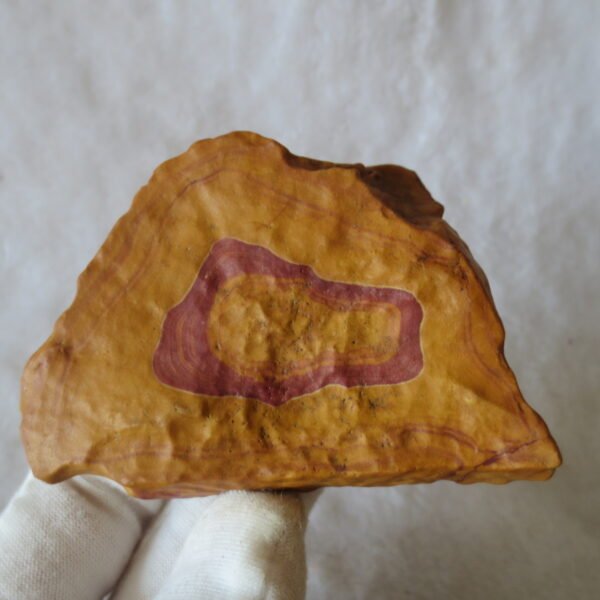natural banded gobi agate raw desert mudstone mineral (j32) (copy)